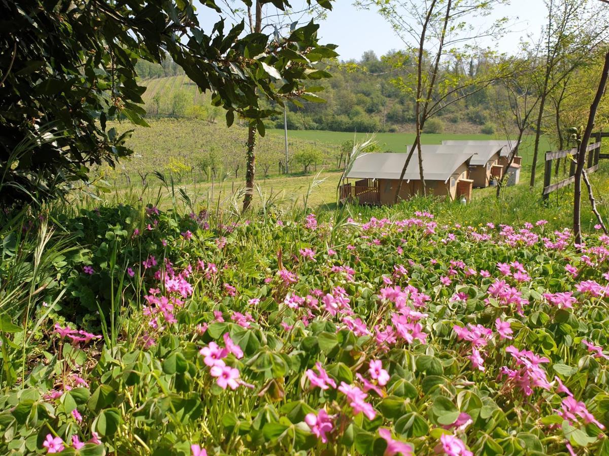 Hotel Agriturismo Cascina Le Volpi Solferino Exterior foto